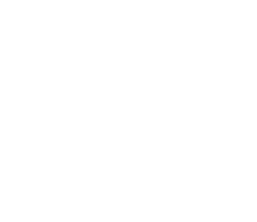 Société de Promotion Immobilière FARES